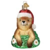 Santa Groundhog Ornament -Country Christmas Loft as9bvtjiw6nfmq6apdrl