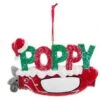 Kurt Adler Poppy Golf Bag Ornament -Country Christmas Loft bnea8rejs1hgapknywor