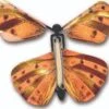 Wind Up Australian Butterfly - Orange 2 Wind Up Australian Butterfly - Orange -Country Christmas Loft cyku0spuf4avlctbg9qm