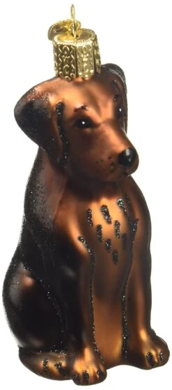 Chocolate Labrador Glass Ornament -Country Christmas Loft efavuuamevbx0mmslaeb