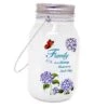 7 Inch Lighted Frosted Glass Jar -