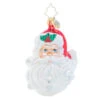 Christopher Radko Little Gem Glass Ornament - Jolly With A Dash Of Holly -Country Christmas Loft gfgnpdueh1h3orjomhhb