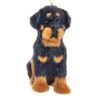 Kurt Adler Furry Dog Ornament - Rotweiler 2 Kurt Adler Furry Dog Ornament - Rotweiler -Country Christmas Loft ghklwwqdtx8xxb0x64vl