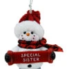 Cozy Snowman Ornament - Special Sister 2 Cozy Snowman Ornament - Special Sister -Country Christmas Loft h86fhx9ebhsn93f9nnvw