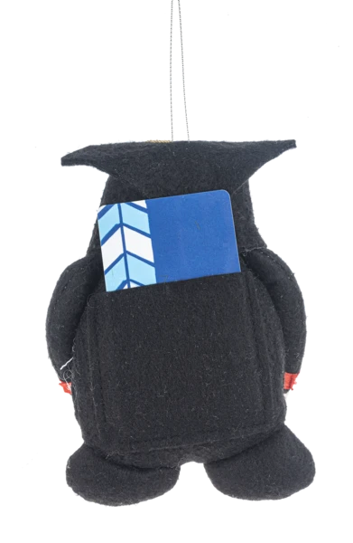 PheGNOMEnal Grad Gift Card Holder - Congrats Grad 4 PheGNOMEnal Grad Gift Card Holder - Congrats Grad - Image 2