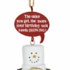 Toasted S'mores Aging Pun Ornament - My Birthday Suit Needs Ironing 1 Toasted S'mores Aging Pun Ornament - My Birthday Suit Needs Ironing -Country Christmas Loft ke4aokhyi5blkwlxfzfk