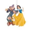 Hallmark Snow White Ornament 2 Hallmark Snow White Ornament -Country Christmas Loft mfncqfdtx4puqonuktlh