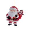 Kurt Adler Jovial Santa Ornament With Penguin -Country Christmas Loft pzvs6cy7ccw3mn6lq6wm