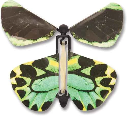 Wind Up Australian Butterfly - Green 3 Wind Up Australian Butterfly - Green