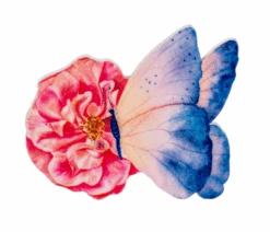 Butterfly Screen Saver - -Country Christmas Loft qsqhjayogzovvbwmvund