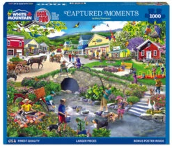 Captured Moments Seek And Find - 1000 Piece Jigsaw Puzzle