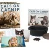 Cats On Catnip: A Grow-Your-Own Catnip Kit 1 Cats On Catnip: A Grow-Your-Own Catnip Kit -Country Christmas Loft sjvsihgzpf4paiy9vwqx