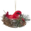 Kurt Adler Cardinal Sitting In A Nest - Ornament -Country Christmas Loft srgu0iafmxaaexclmsfa
