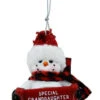 Cozy Snowman Ornament - Special Granddaughter -Country Christmas Loft tlwtbuwwz7gv256wmsde