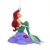 Hallmark Ariel Sitting On A Rock Ornament -Country Christmas Loft uefn4jxfapirqwwfqybv