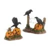 Department 56 Halloween Ravens 1 Department 56 Halloween Ravens -Country Christmas Loft ulcdcgngojga8szdkh7g