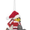 Cozy Bird Ornament - Have A Blessed Christmas -Country Christmas Loft ussguenfdutztbiogrjy
