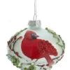 Kurt Adler Glass Cardinal Frosted Glass Ornament - Onion Shape -Country Christmas Loft w9bqqo2dpfxwna7otbtr