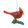 Hallmark Cardinal Perched On A Holly Leaf - Ornament -Country Christmas Loft wpcadnnbkzfayz8h3yuj