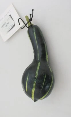 Green Tall Gourd