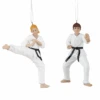 Karate Student Ornament - 2 Karate Student Ornament - -Country Christmas Loft yn0a4wxnapvxwbpigwr1